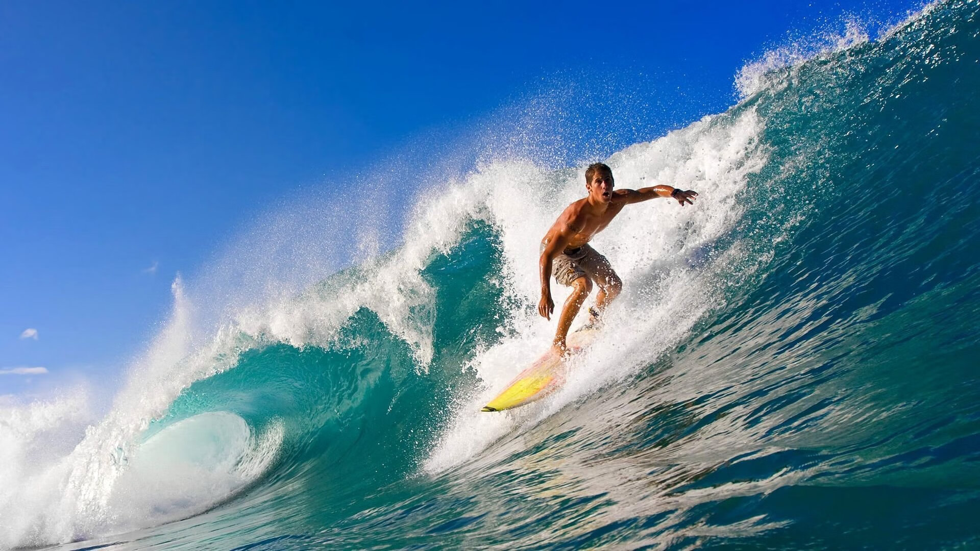 法国选手马尔尚无视中国教练朱志根握手